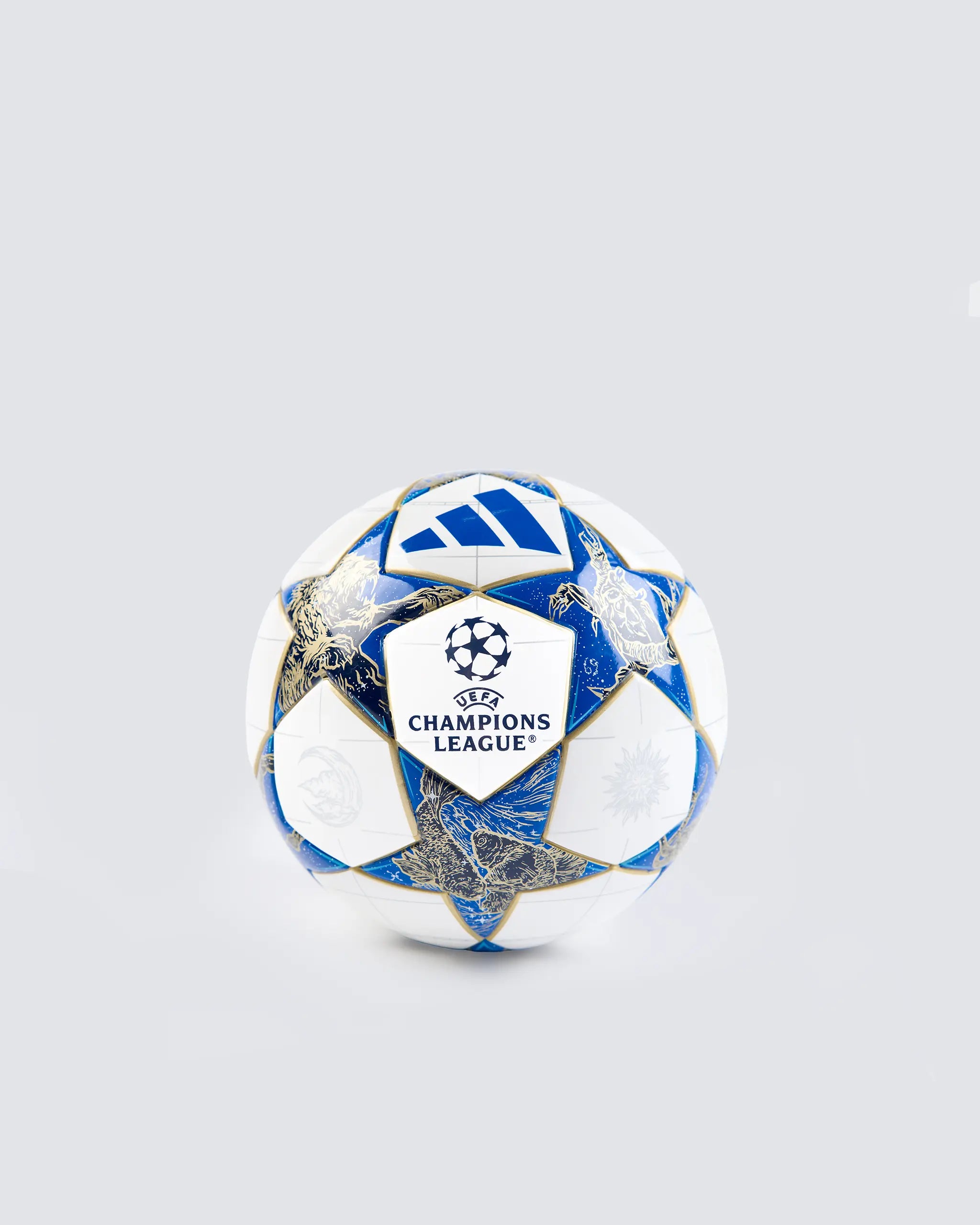 Champions League Size 1 Stage Football