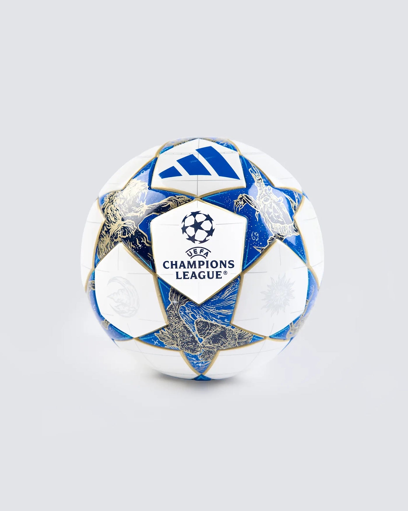 Champions League Size 1 Stage Football