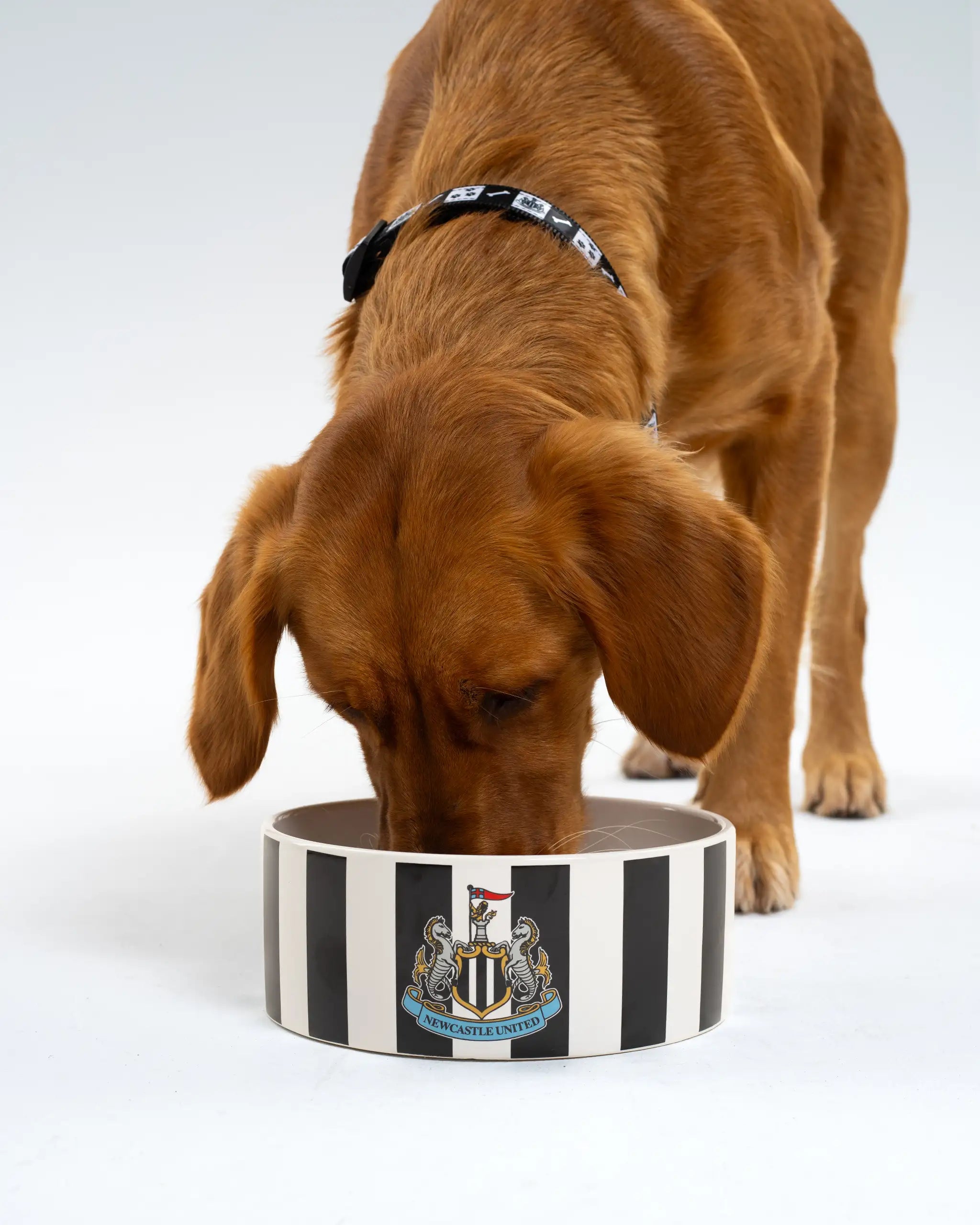 Newcastle United Ceramic Striped Pet Bowl