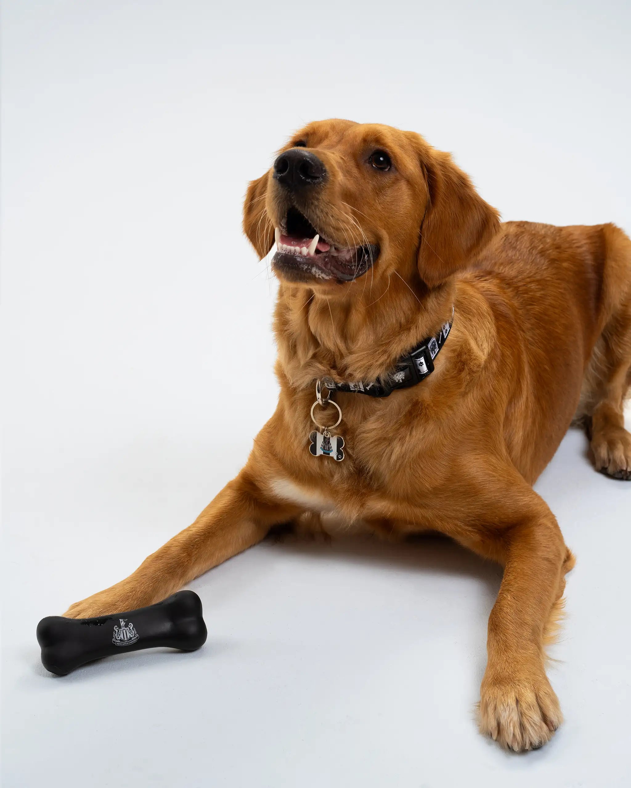 Newcastle United Squeaky Dog Bone Toy