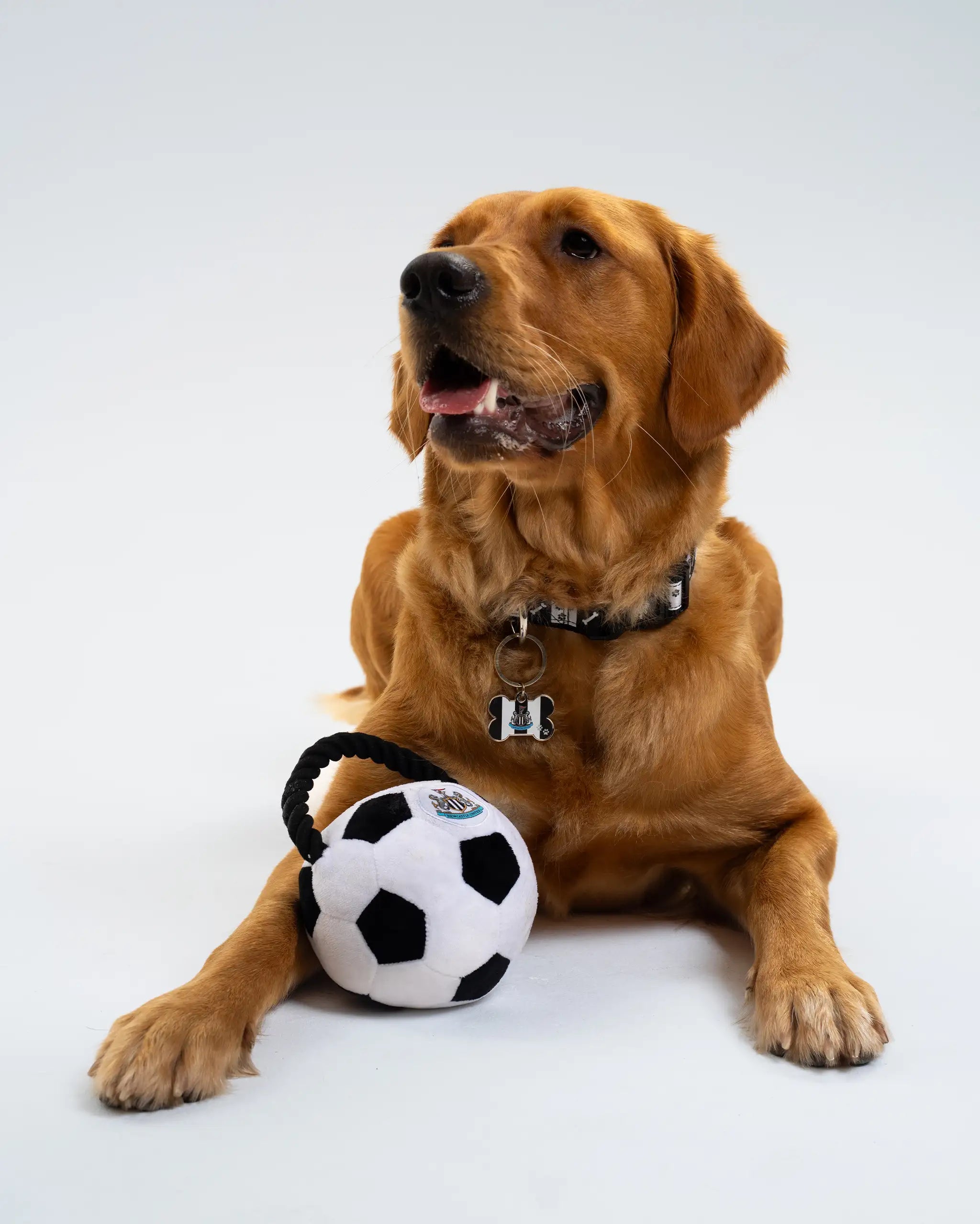 Newcastle United Football Pet Toy