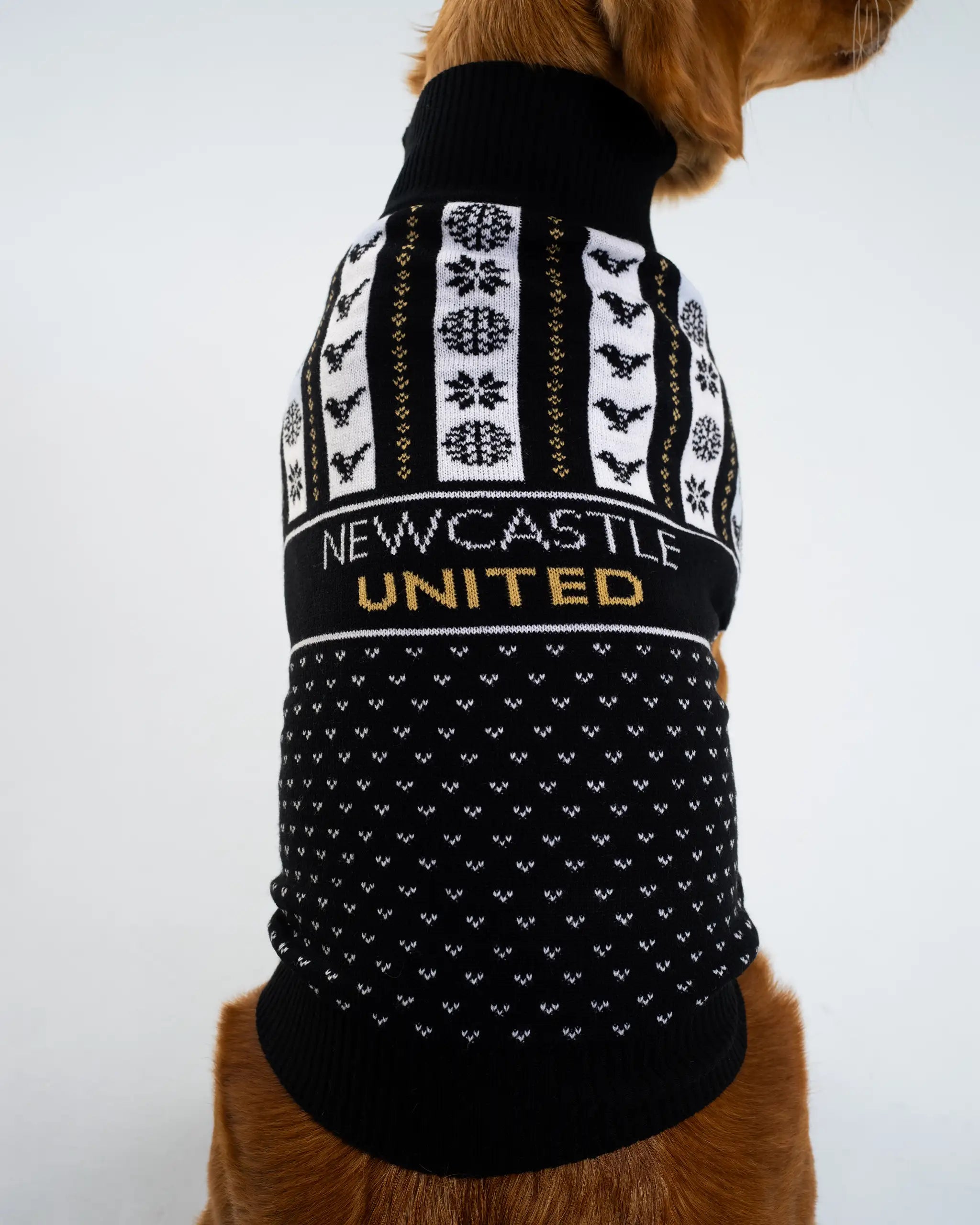 Newcastle United Dog Christmas Jumper