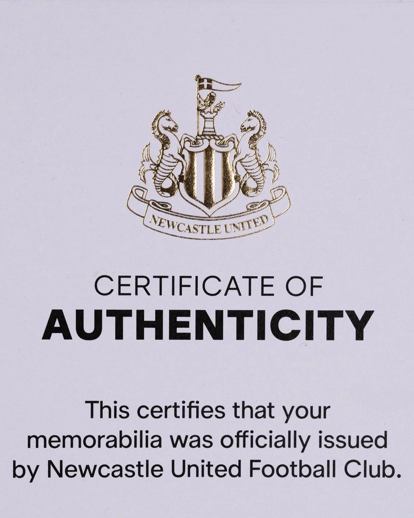 Newcastle United OSULA 25/26 Match Worn Shirt & Shorts - Tottenham (Pre-Season)