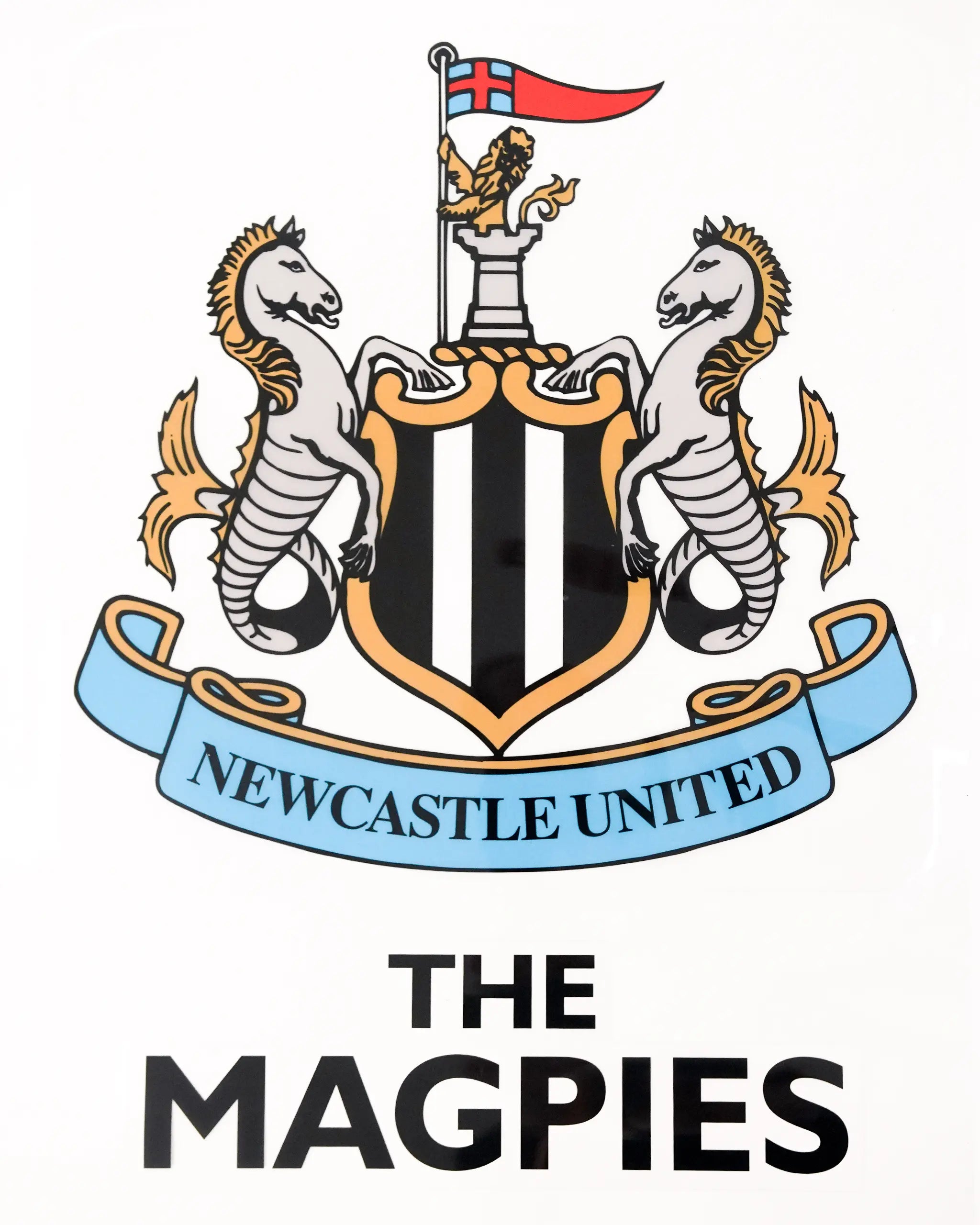 Newcastle United A3 Car Decal