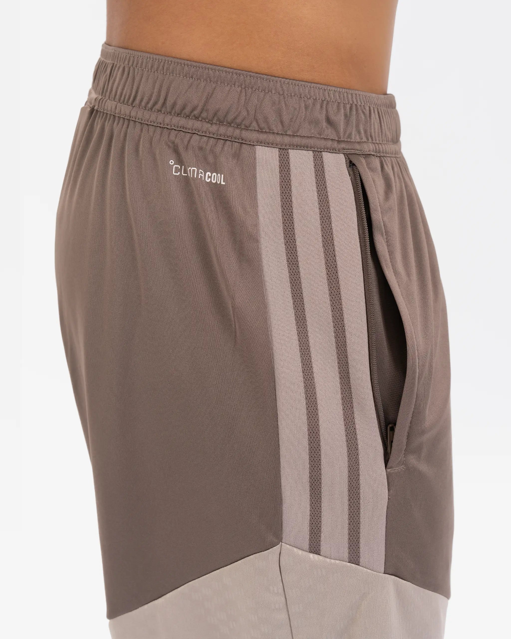 Newcastle United adidas 26/27 Coach's Range Beige Shorts
