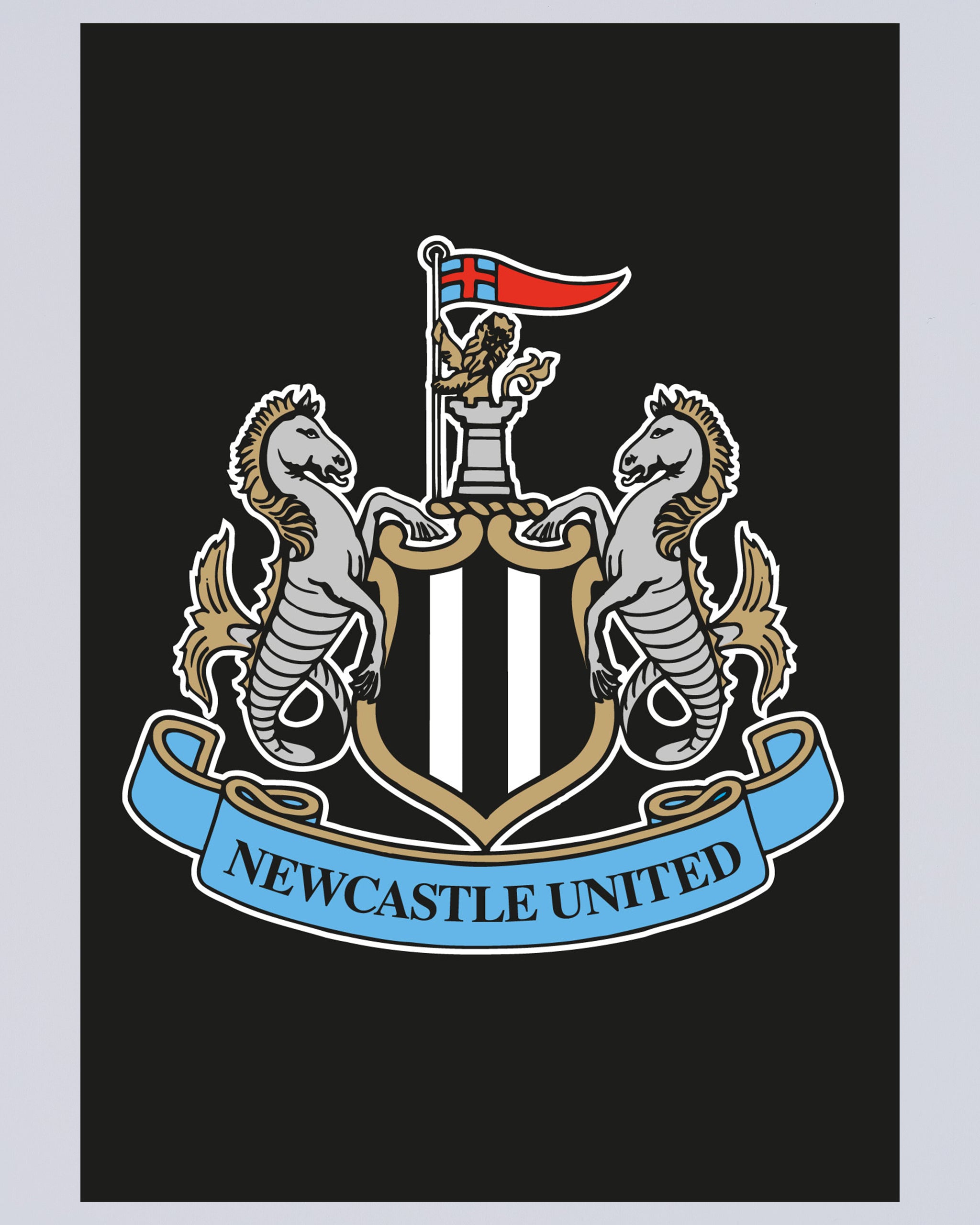 Newcastle United Crest Poster