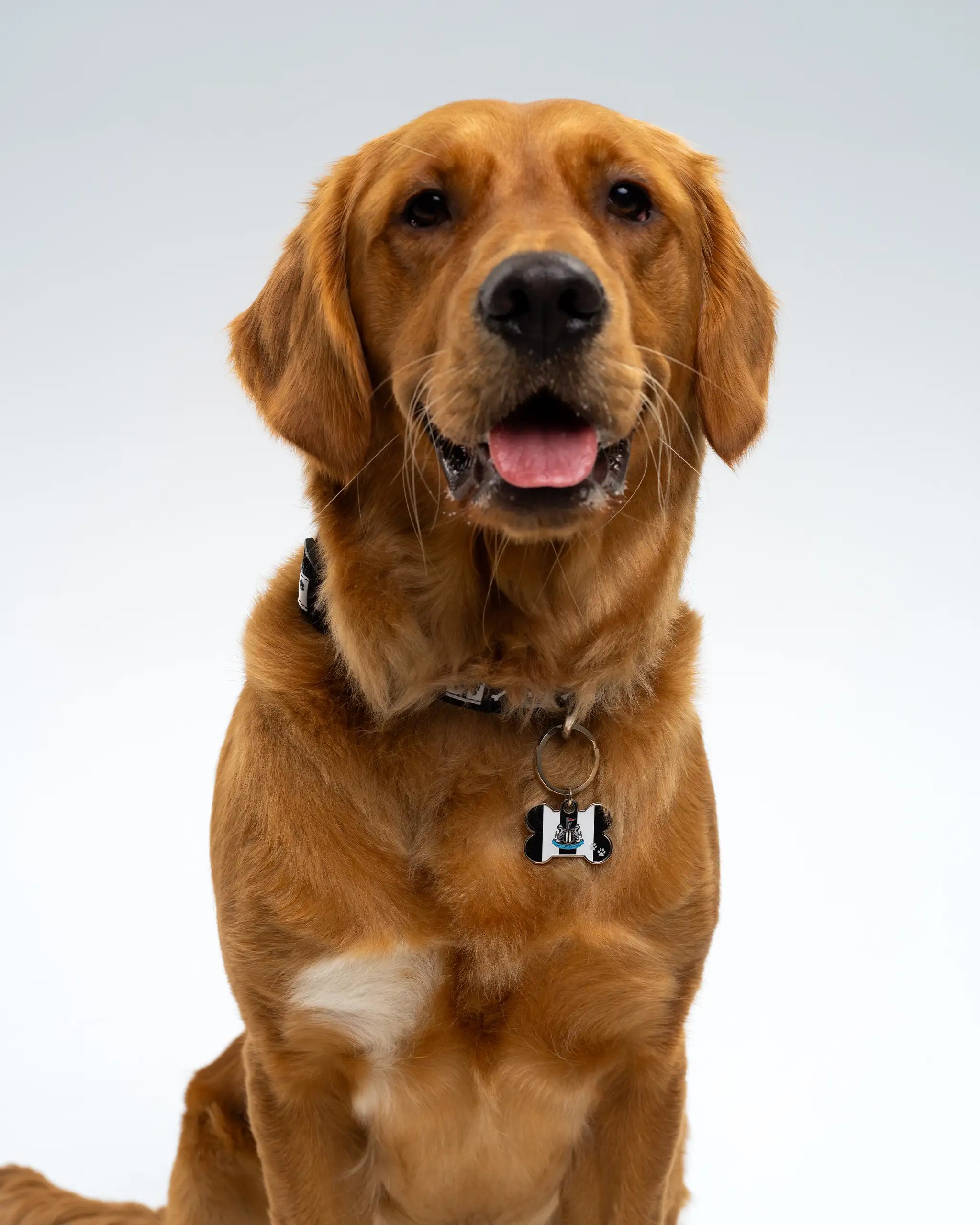 Newcastle United Bone Dog Tag