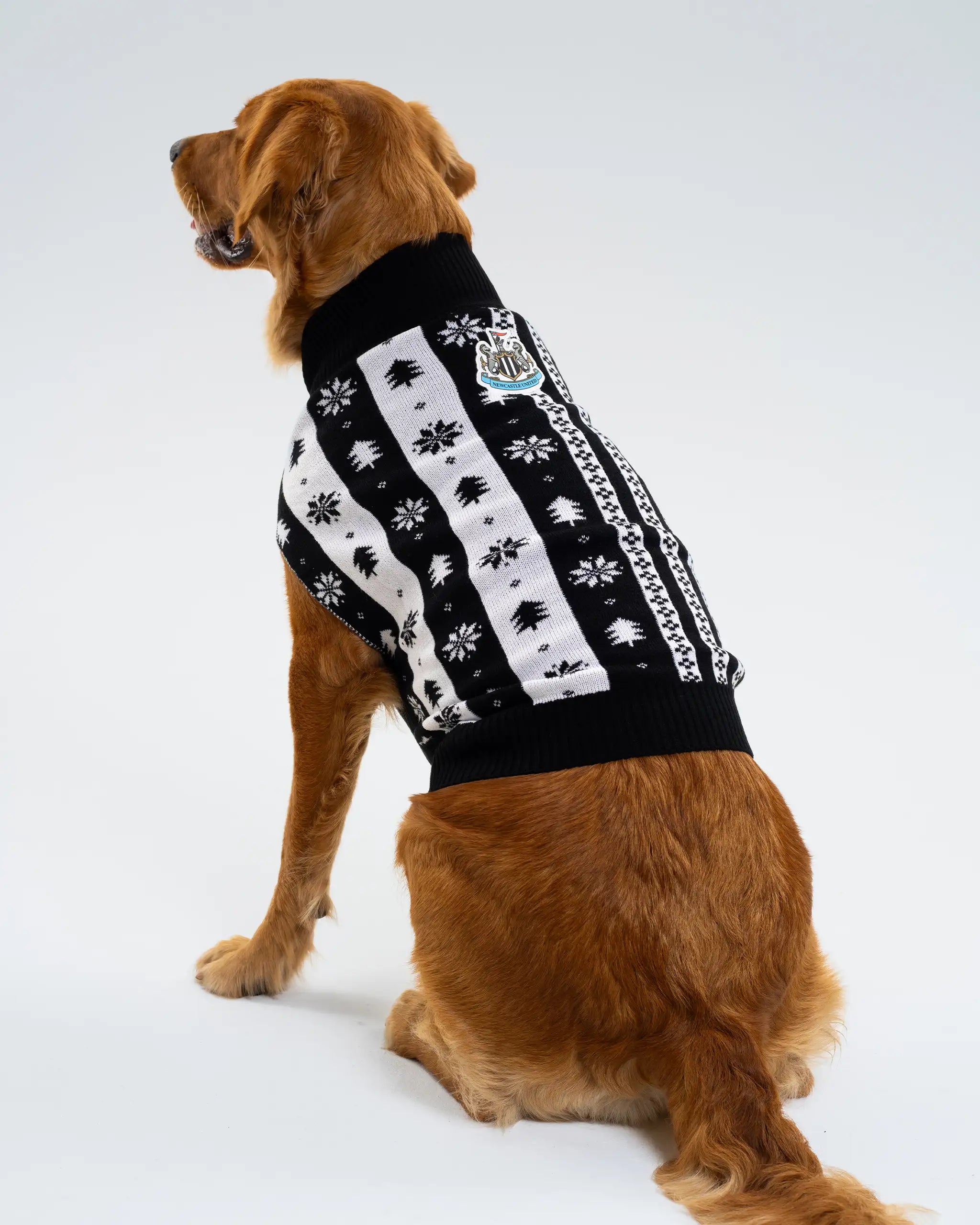 Newcastle United Dogs Striped Christmas Jumper