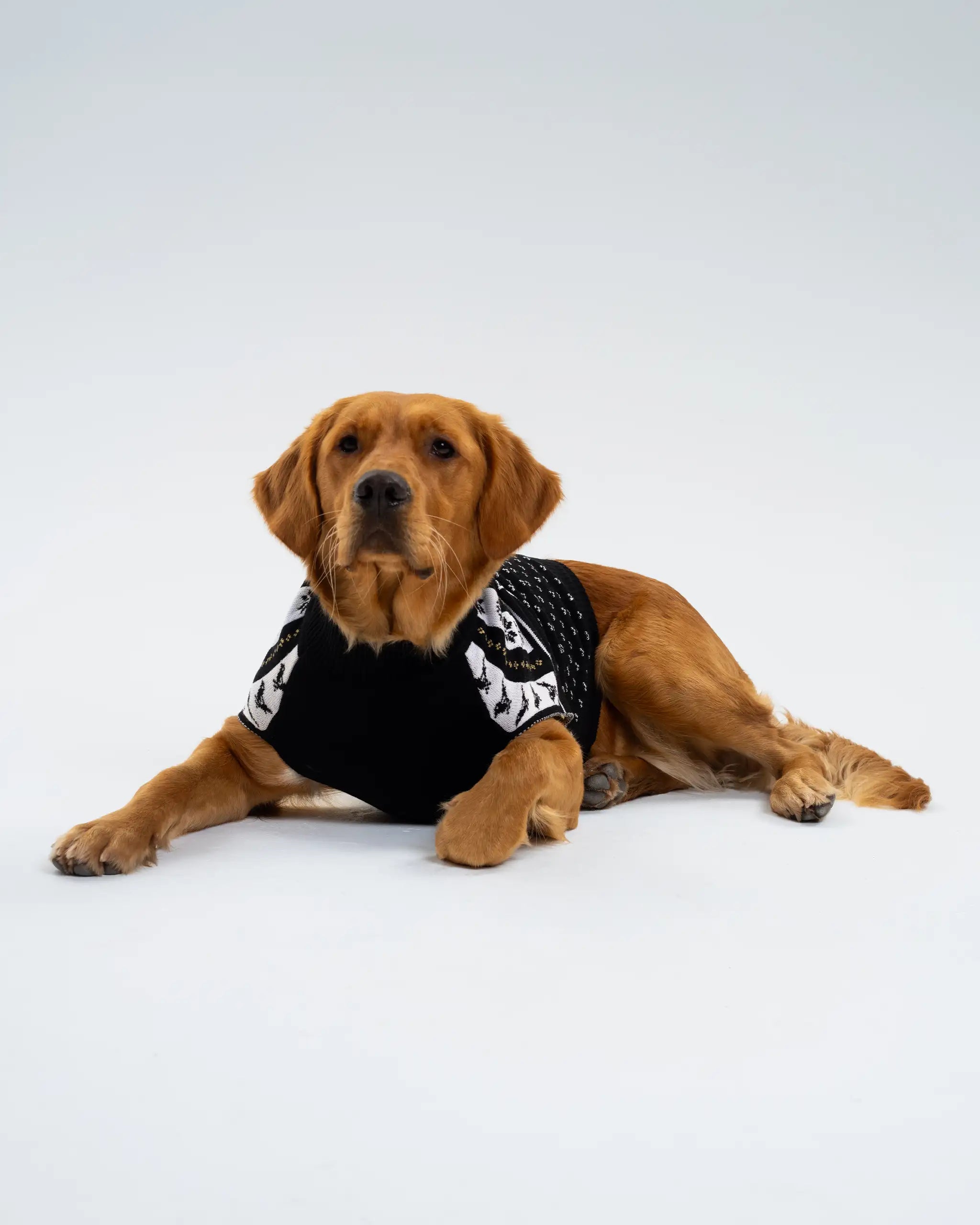 Newcastle United Dog Christmas Jumper