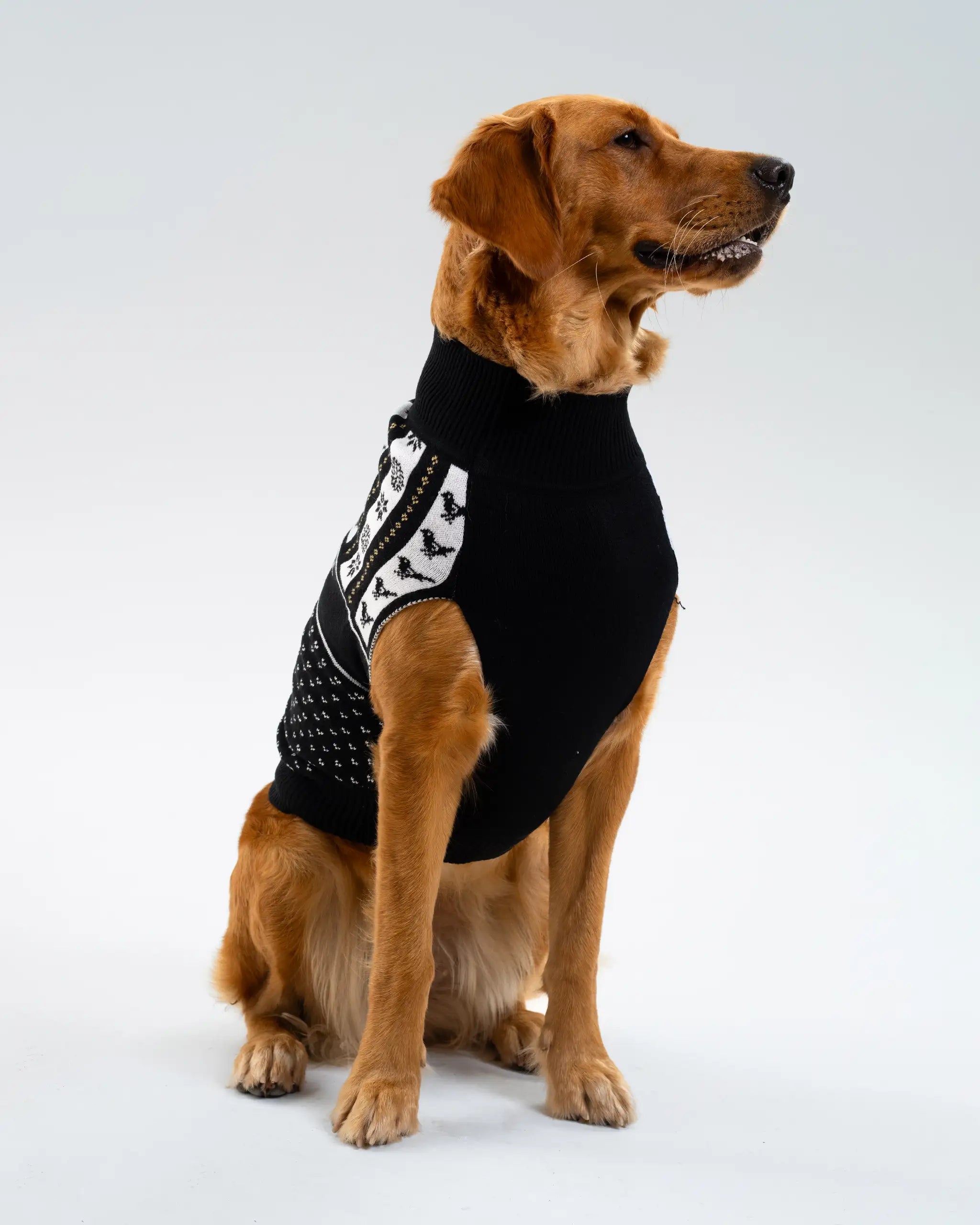 Newcastle United Dog Christmas Jumper