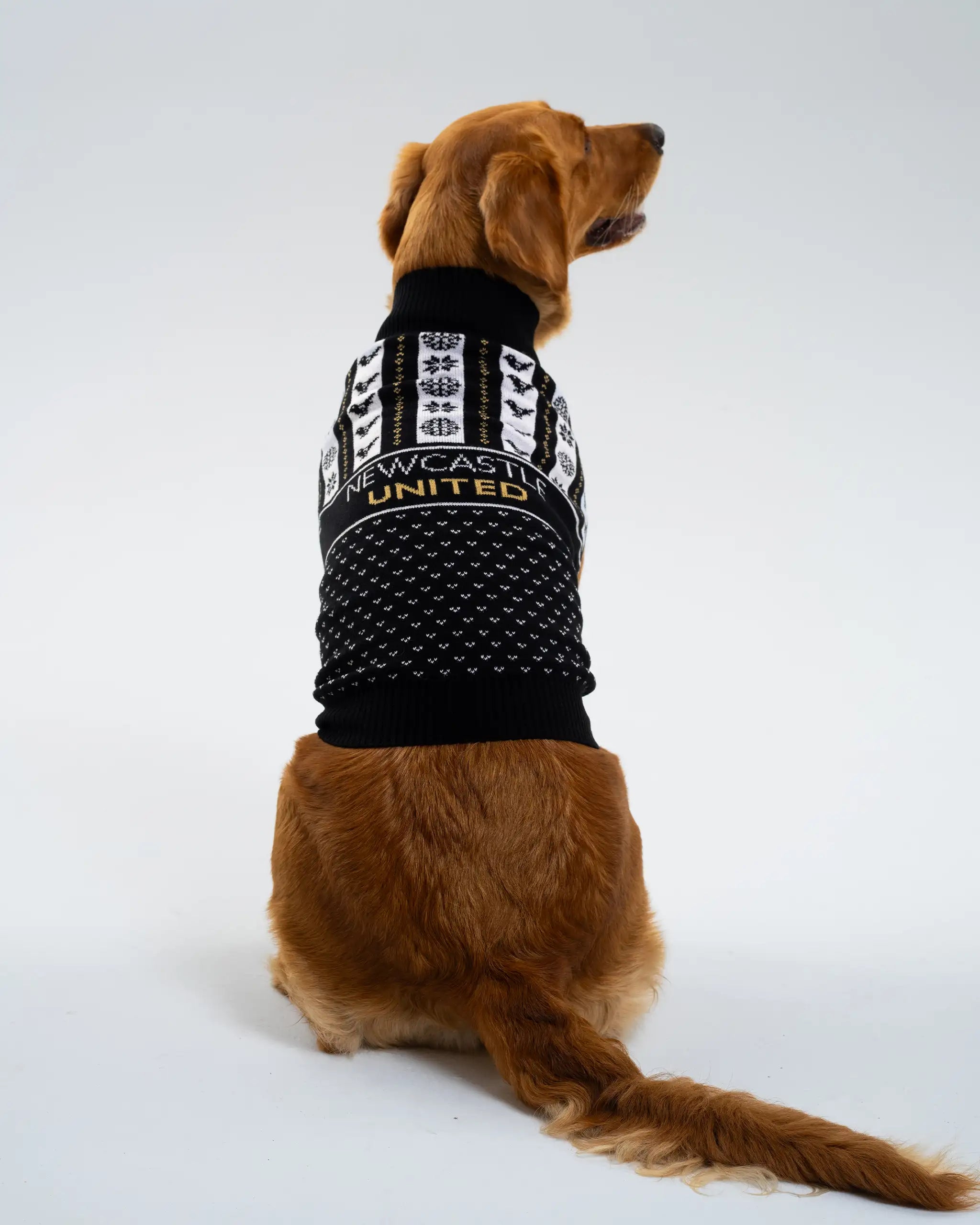 Newcastle United Dog Christmas Jumper