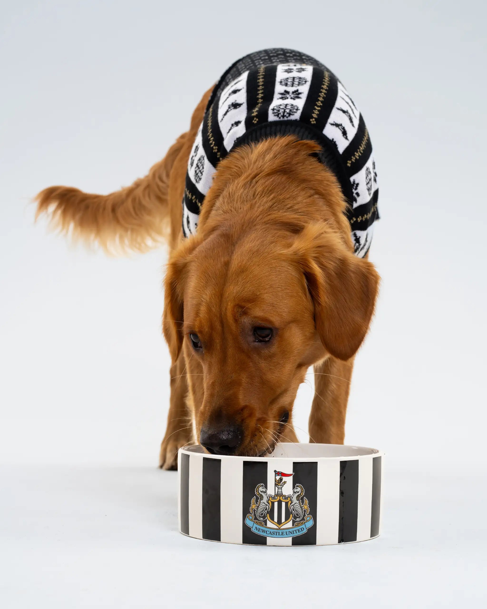 Newcastle United Dog Christmas Jumper