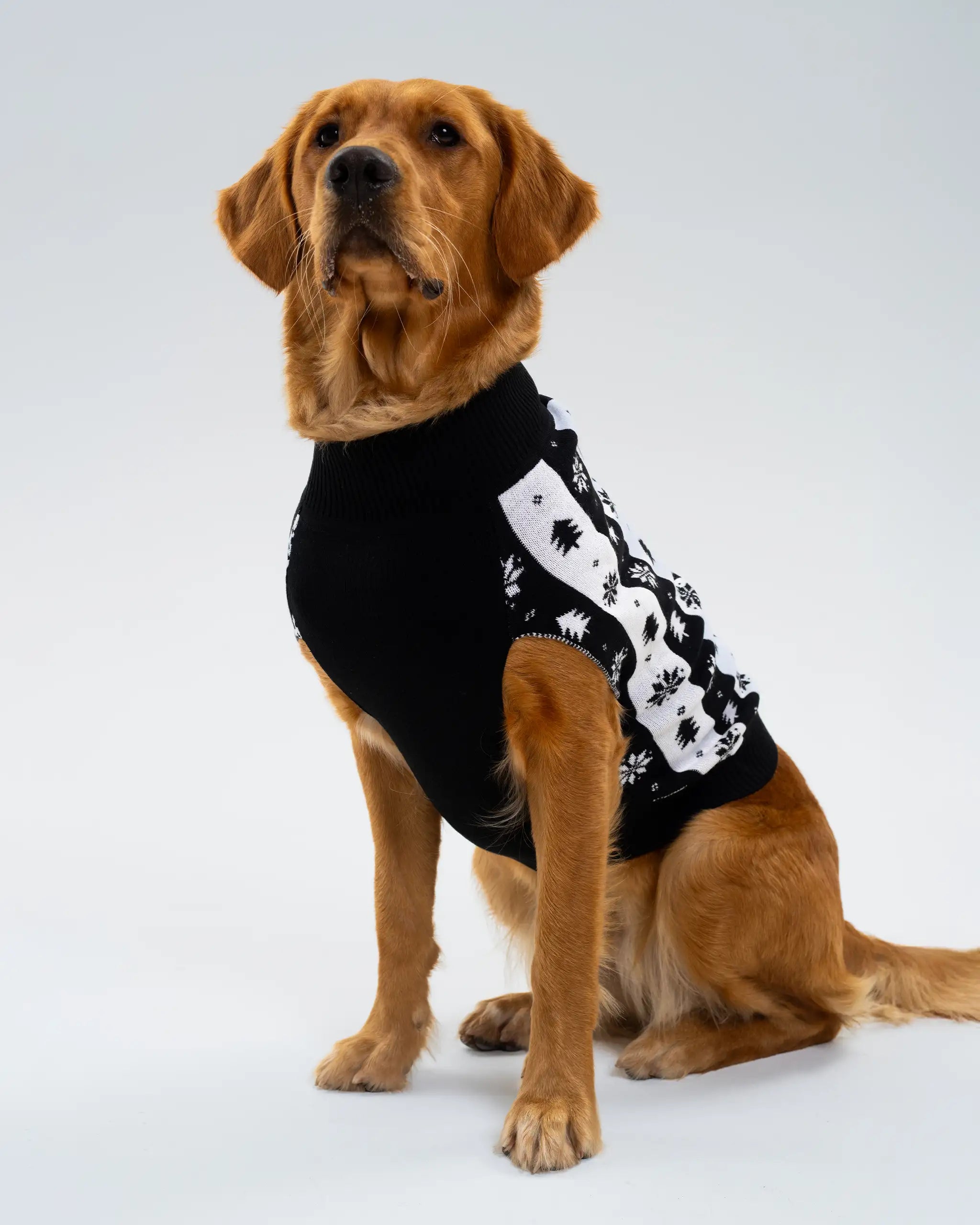 Newcastle United Dogs Striped Christmas Jumper