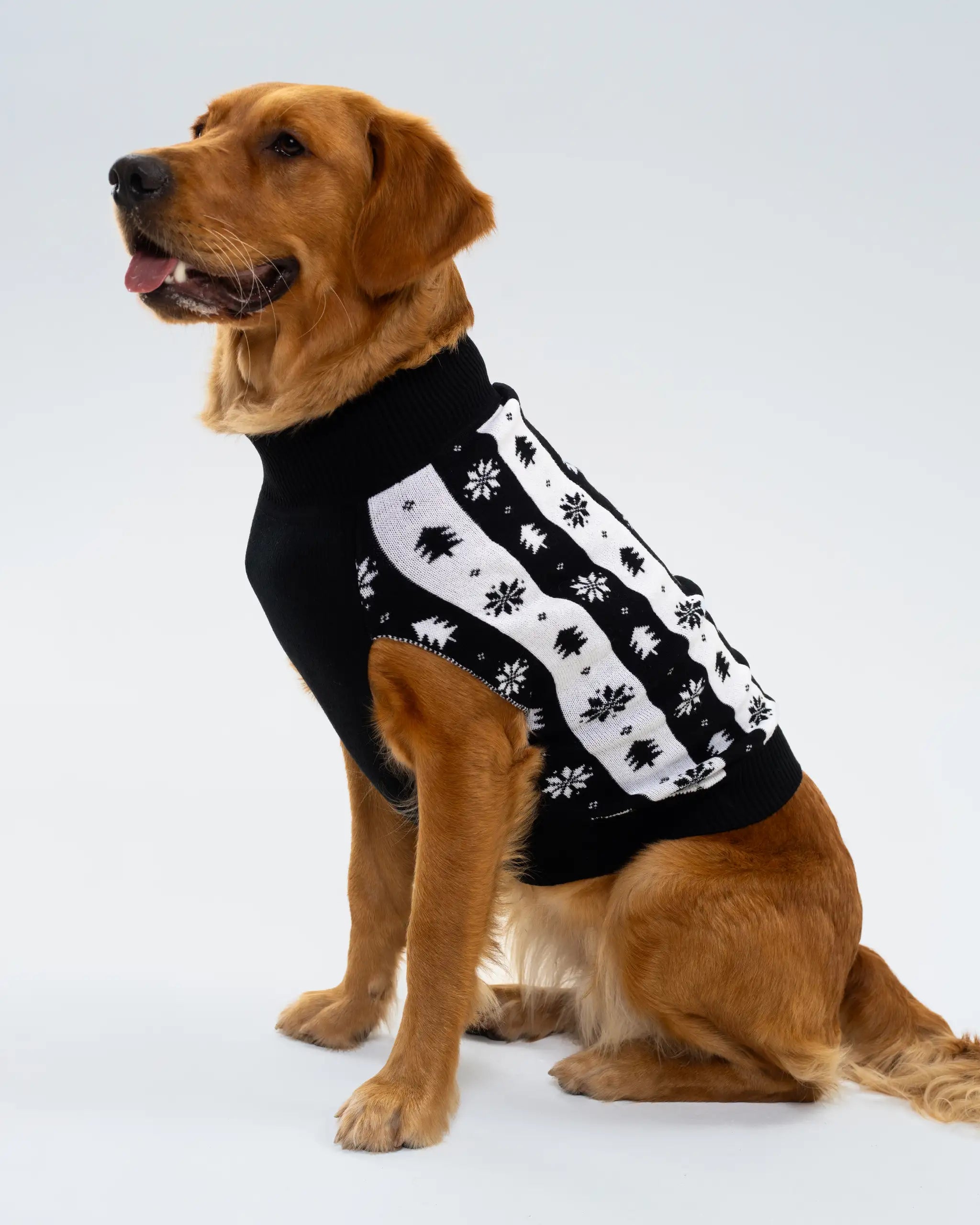 Newcastle United Dogs Striped Christmas Jumper