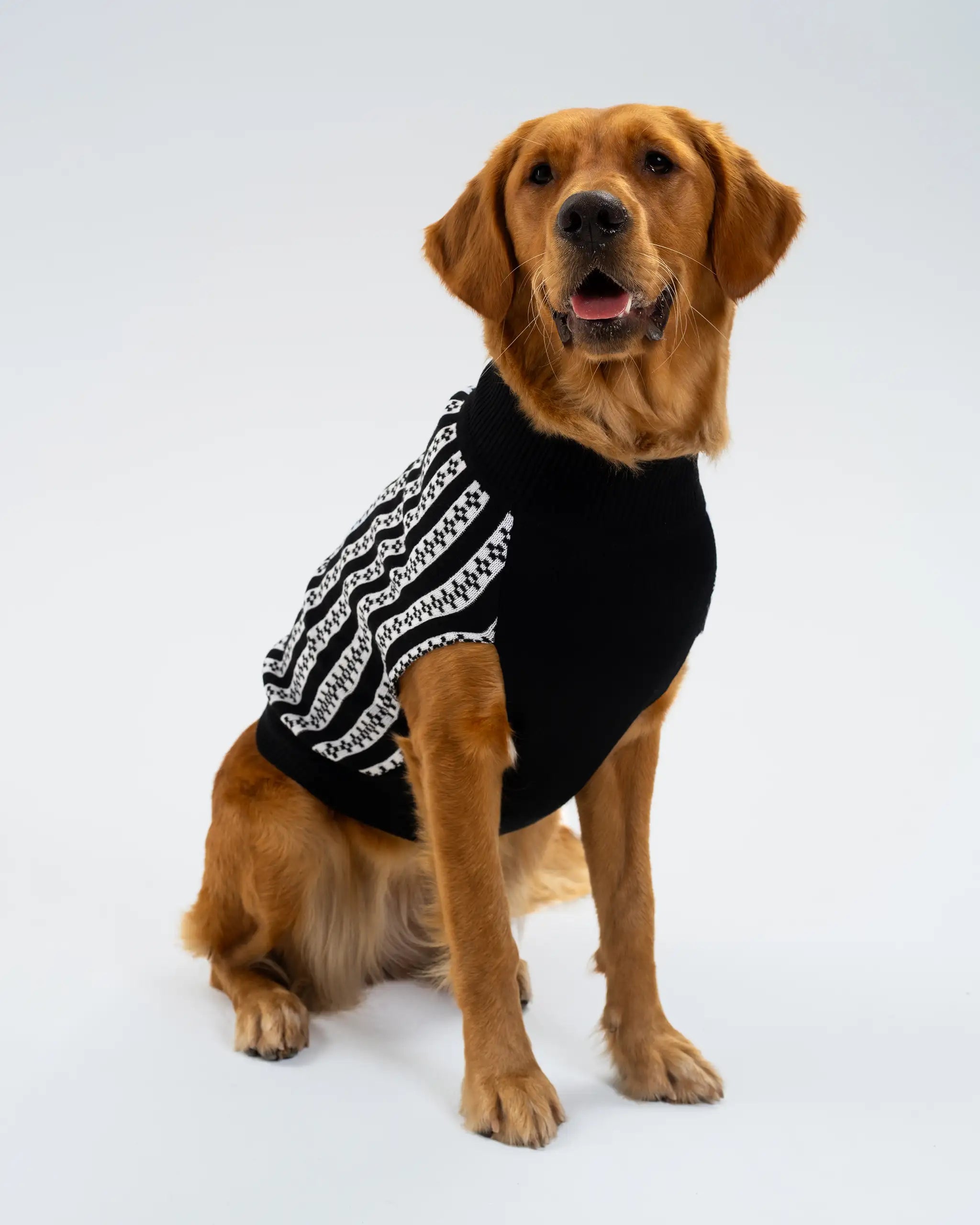 Newcastle United Dogs Striped Christmas Jumper