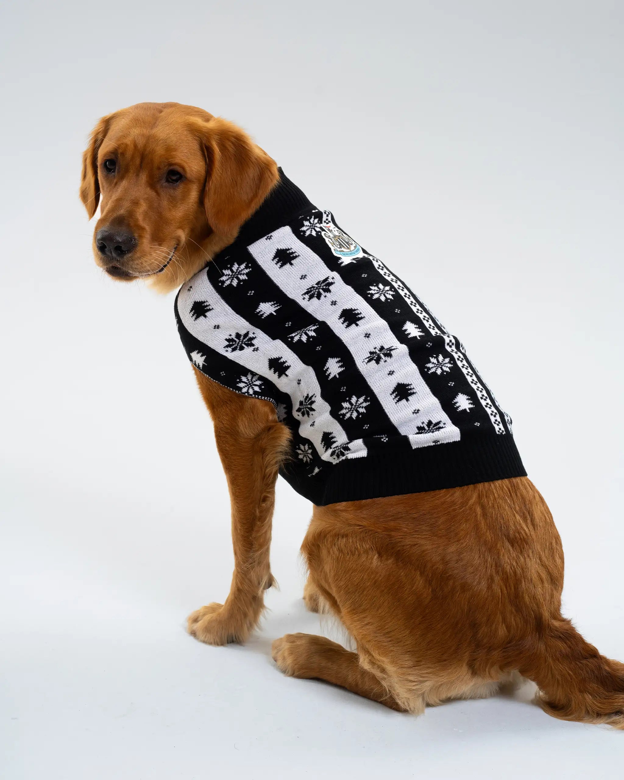 Newcastle United Dogs Striped Christmas Jumper