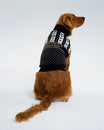 Newcastle United Dog Christmas Jumper
