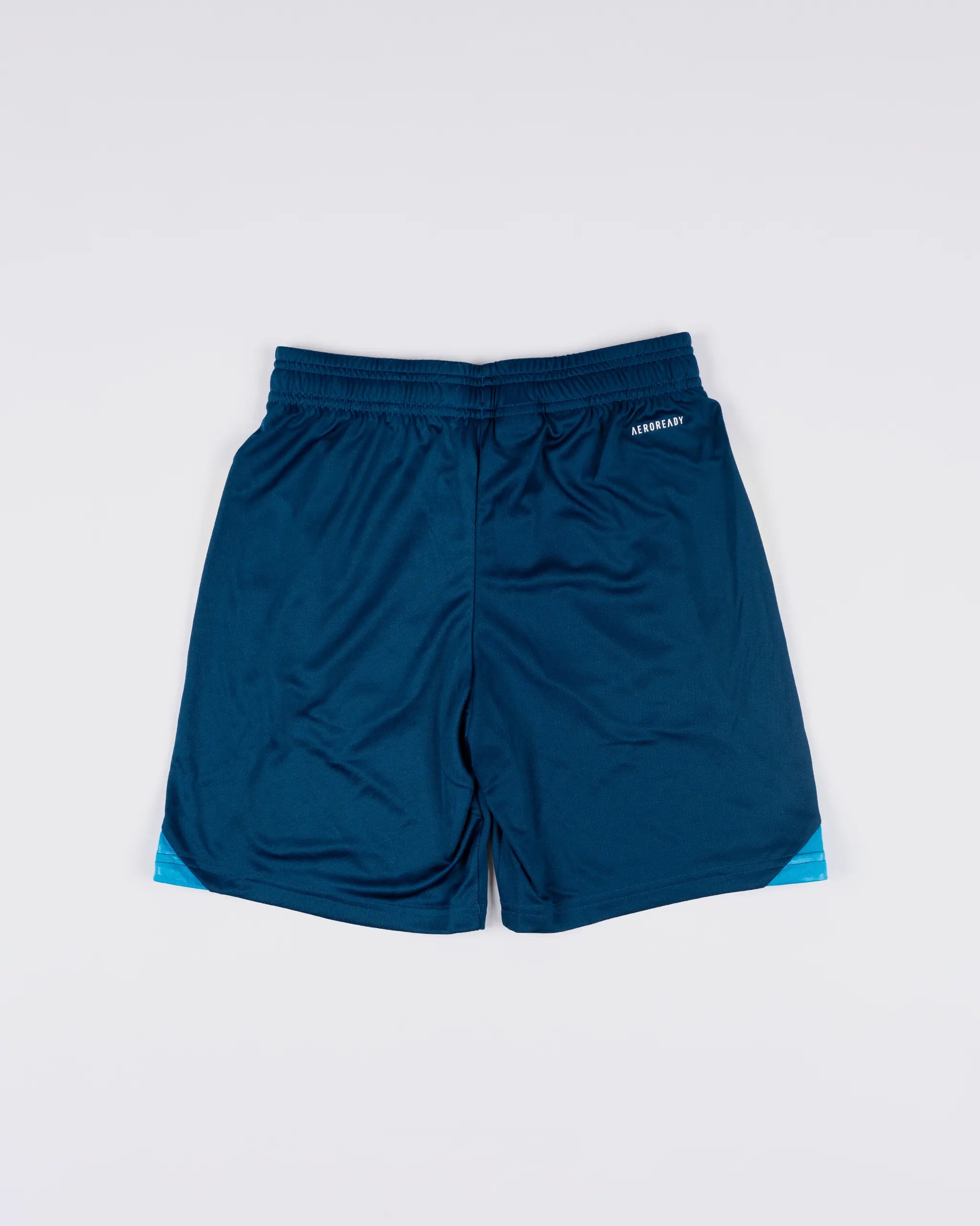 Newcastle United adidas 25/26 Coach's Range Kids' Training Shorts