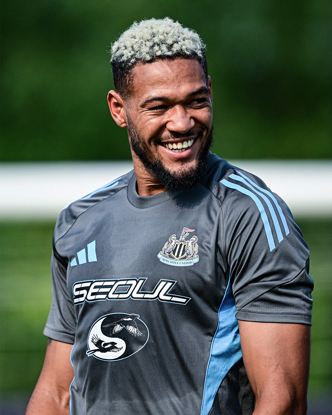 Newcastle United adidas 25/26 Players Range Men's Grey Training Shirt Pre-Season Edition