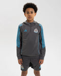 Newcastle United adidas 25/26 Players Range Kids' Grey Training Hoodie