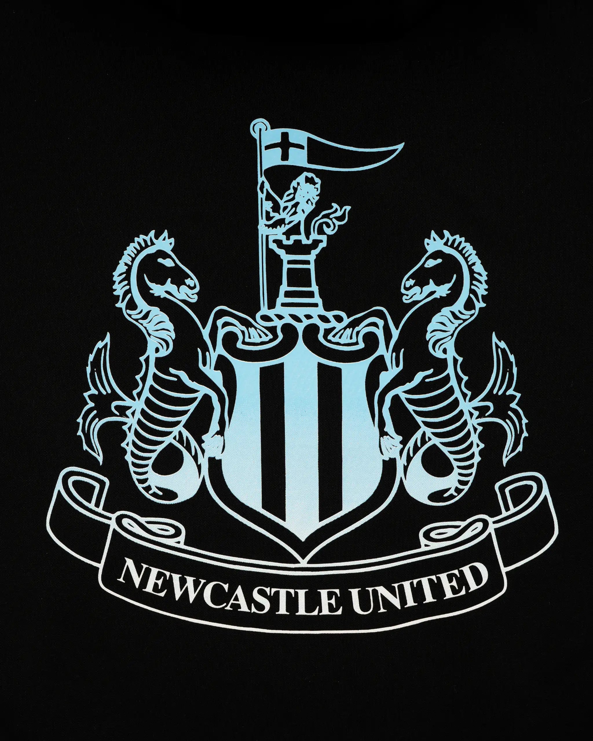 Newcastle United Boy's Black Hoodie with Blue Ombre Crest