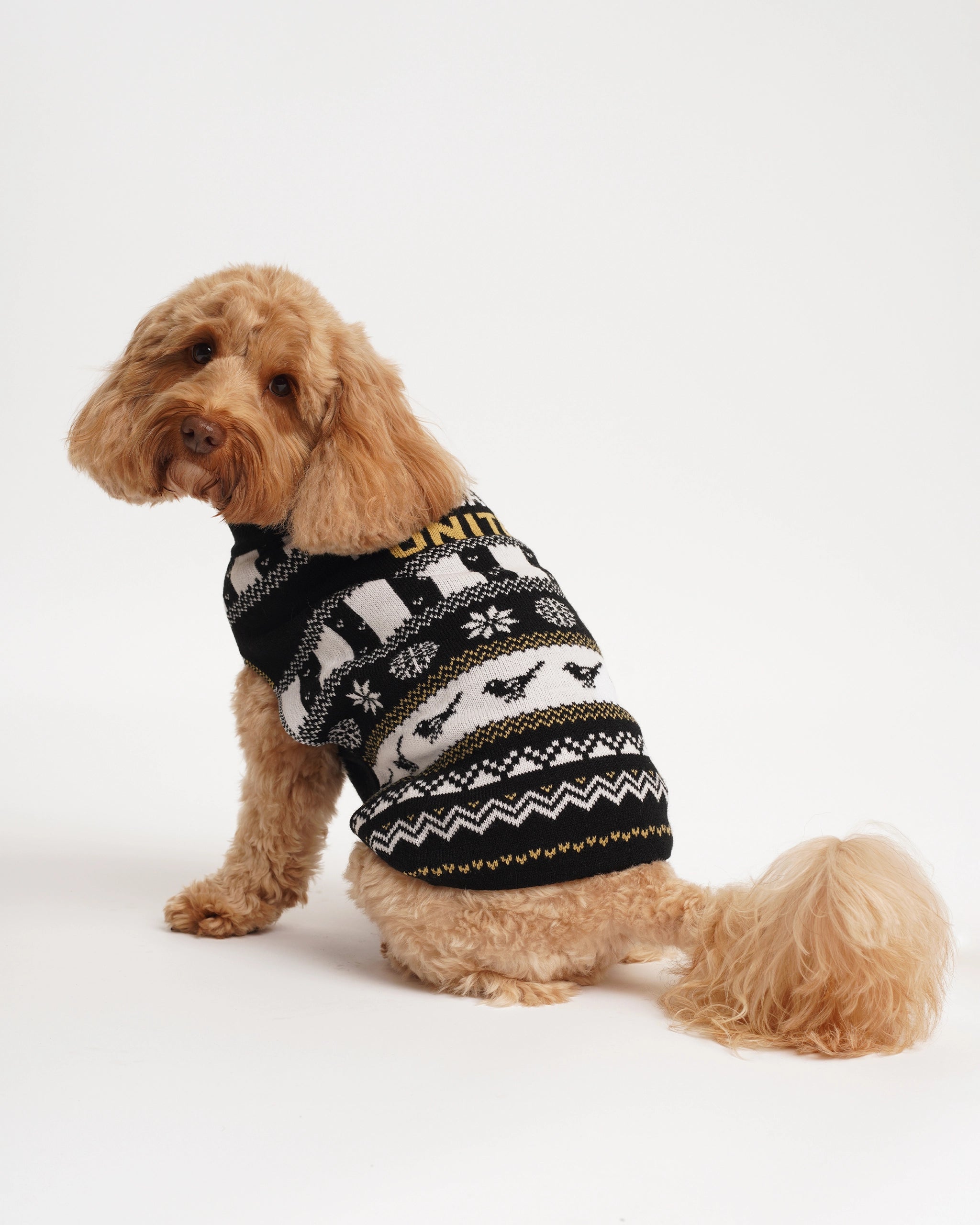 Newcastle United Dogs Christmas Jumper