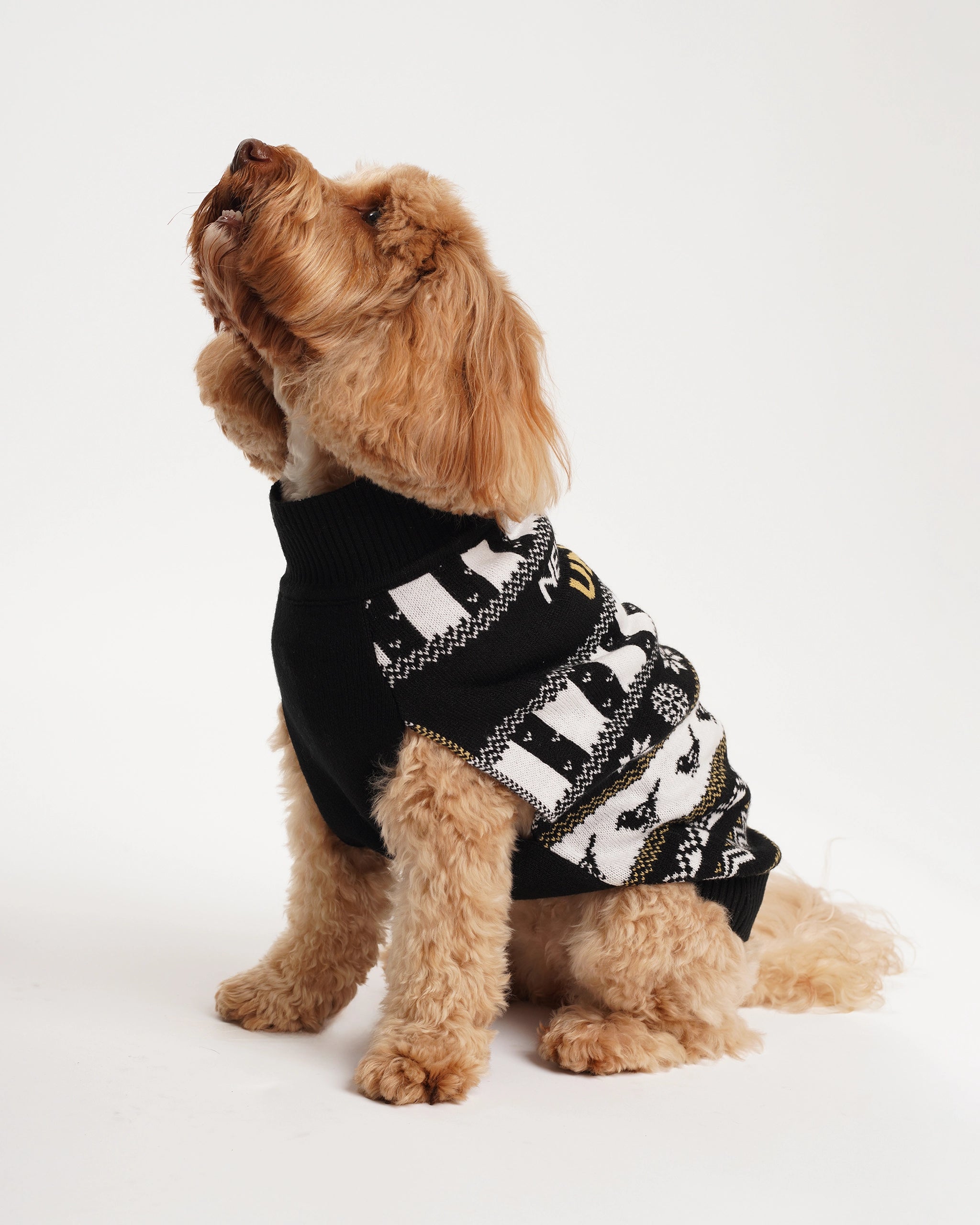 Newcastle United Dogs Christmas Jumper