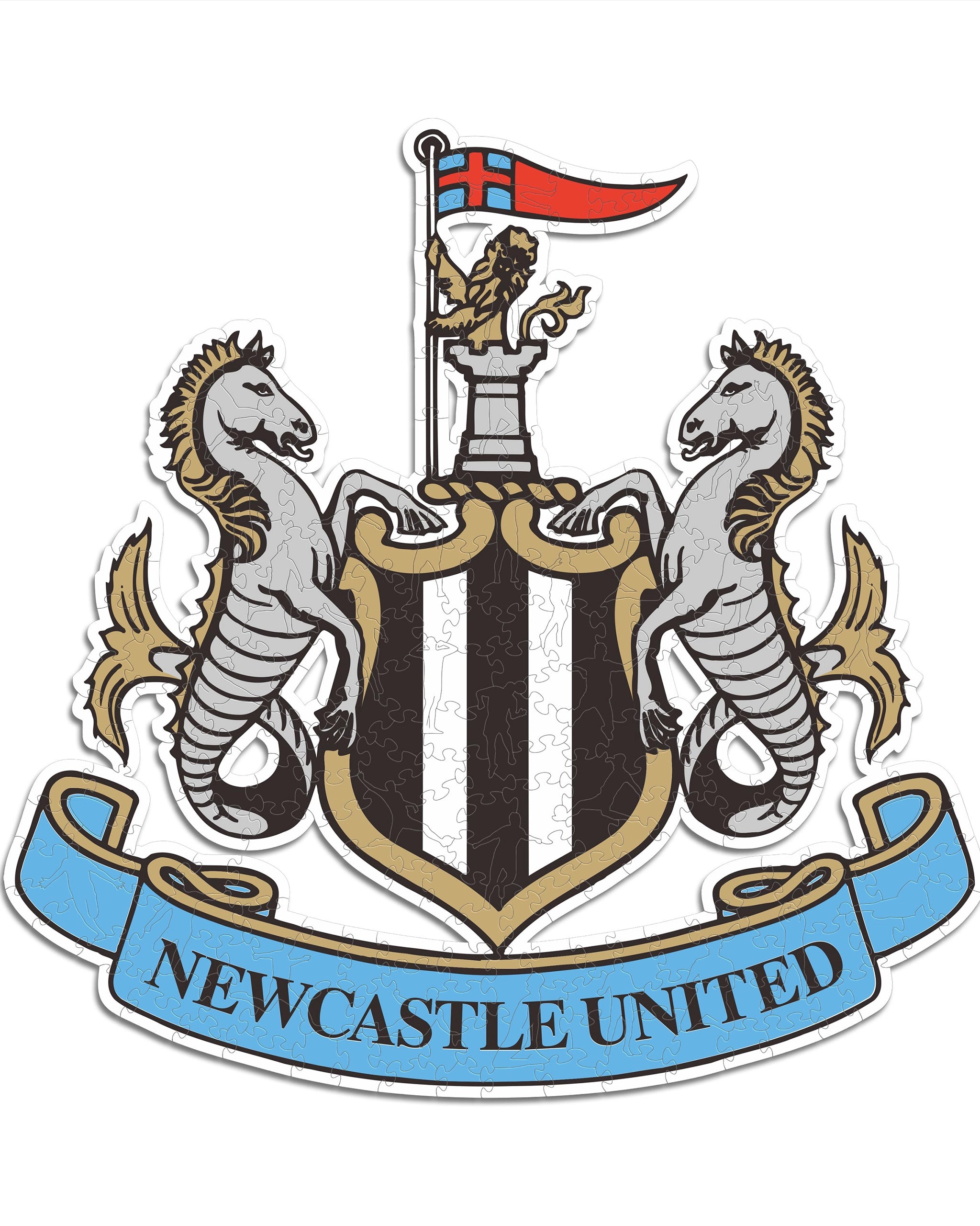 Newcastle United FC Crest Leather Wallet - Official Bi-fold Wallet With Club Crest, Gift Box